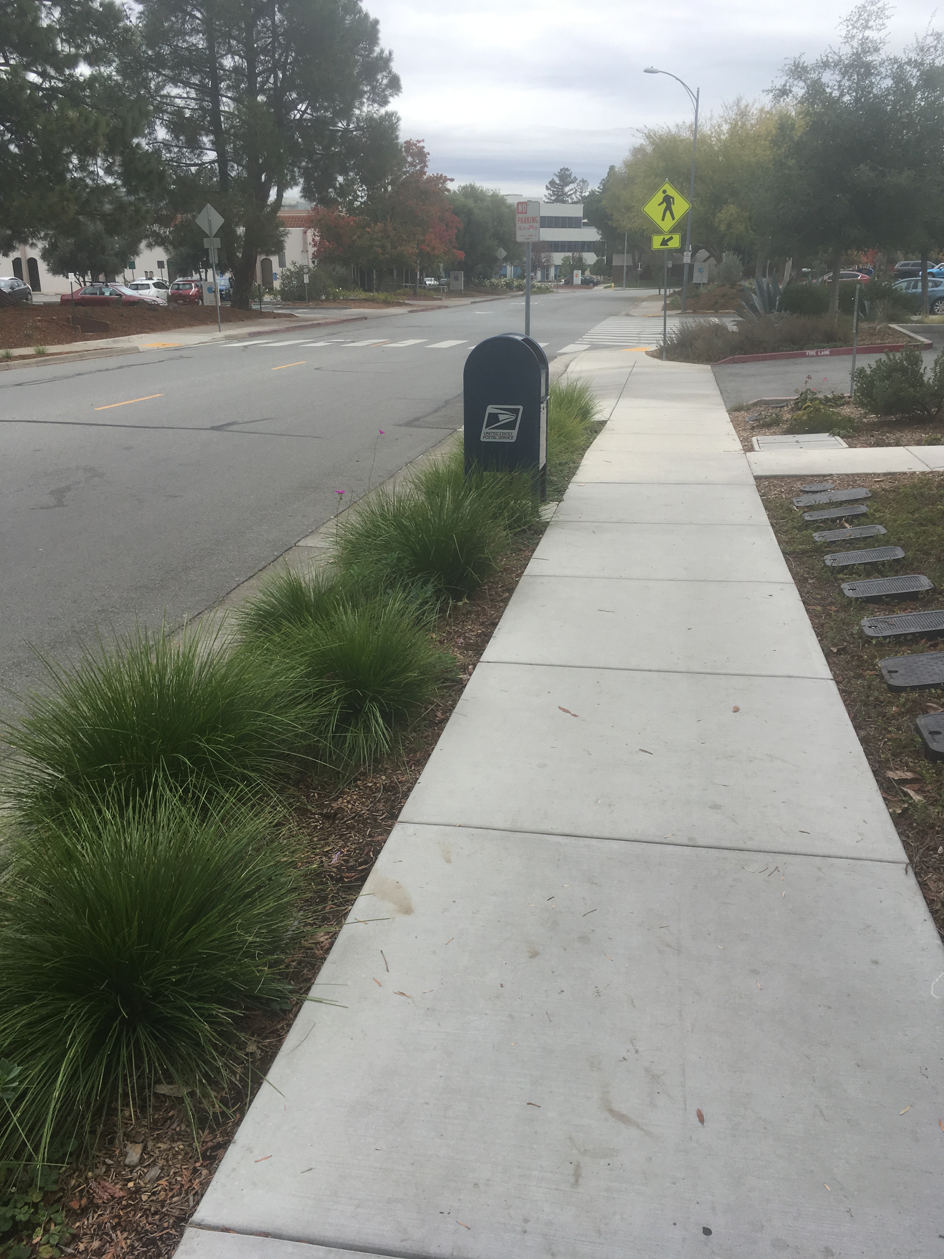 Apple owns everything in Cupertino